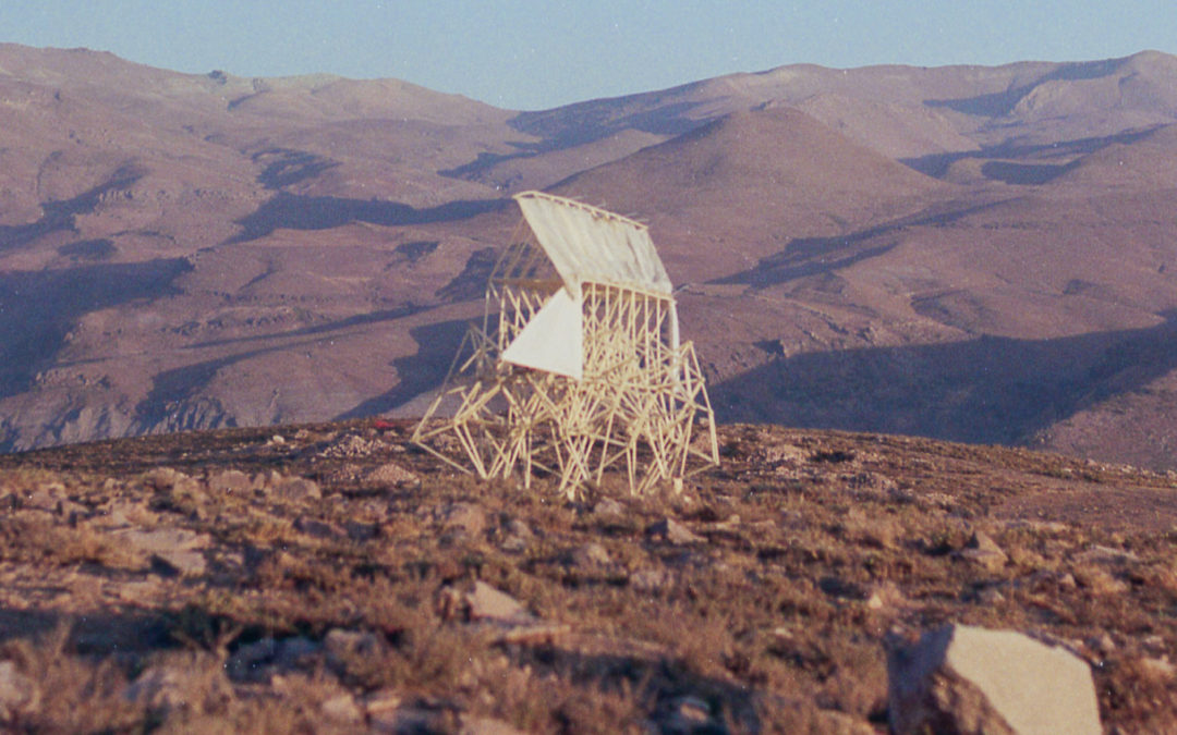 El optimista irracional