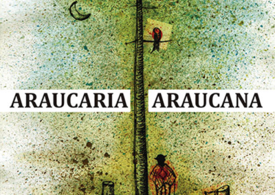 Araucaria Araucana