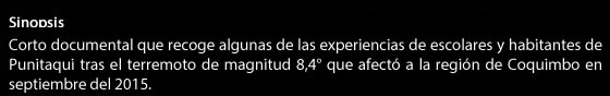 Punitaqui 2