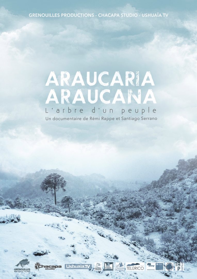 Afiche Araucaria Araucana2