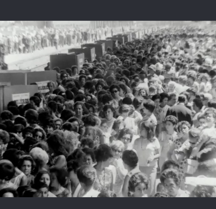 Día de las elecciones parlamentarias de 1965