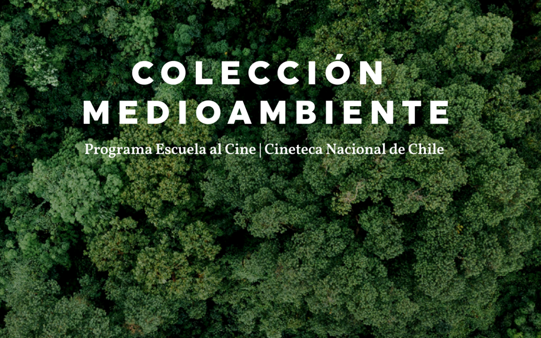 Colección Medioambiente