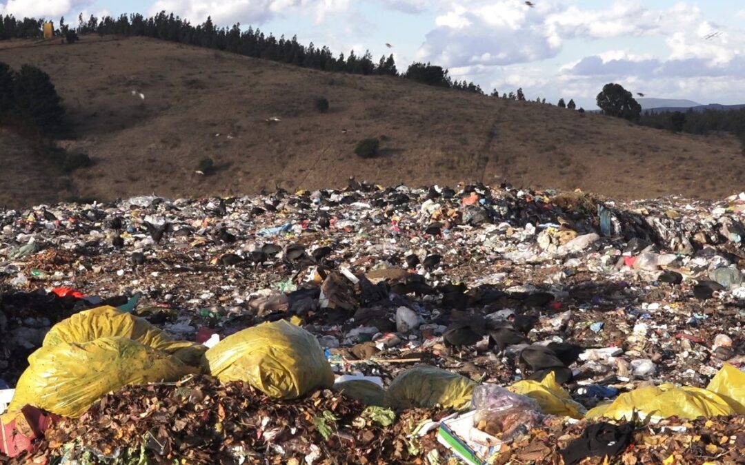 Postales fílmicas de Chile: la iniciativa desarrollada por los cine clubes escolares en el marco de la VII Semana de la Educación Artística