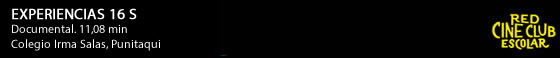 punitaqui 1
