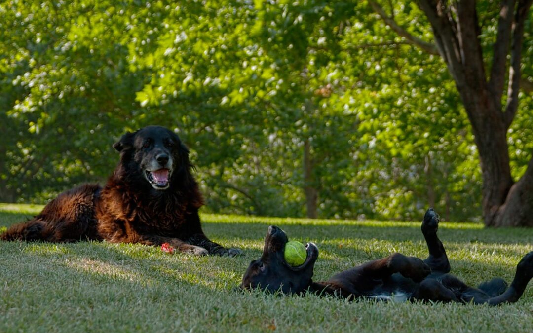 Documental Los Reyes es el nuevo estreno online del Programa Escuela al Cine