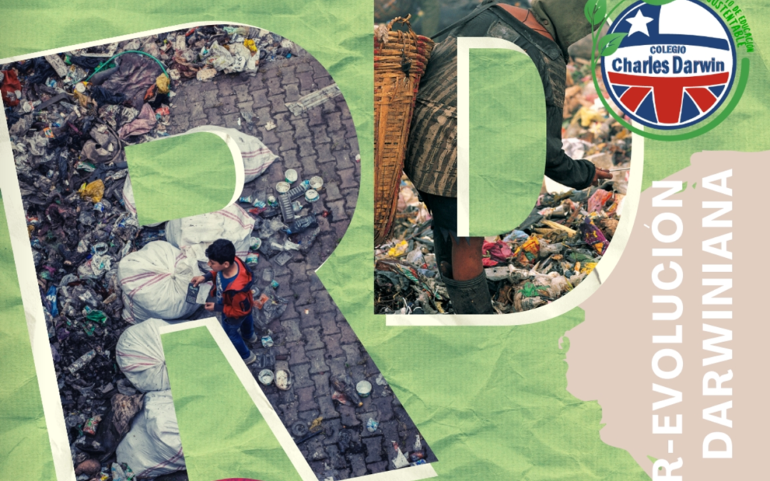 Dorys Chandía, Colegio Charles Darwin de Ancud: “Queremos demostrar que la educación en pandemia es posible con algo tangible”