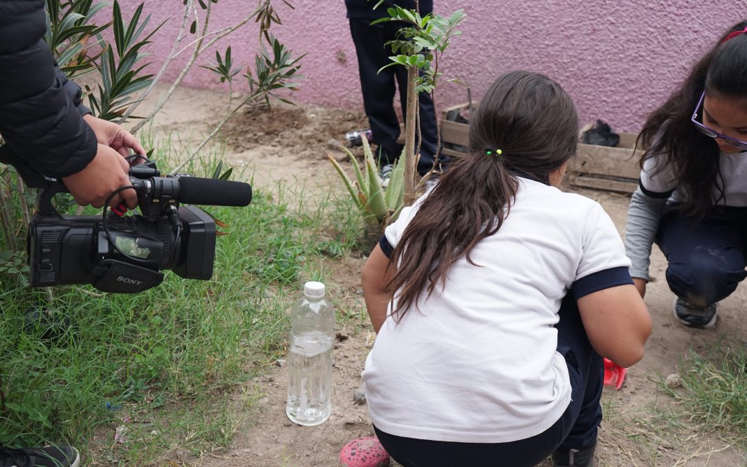 Películas  para salvar el planeta: WAWA de Arica Nativa abrió convocatoria 2024 para cine hecho por niñas, niños y adolescentes