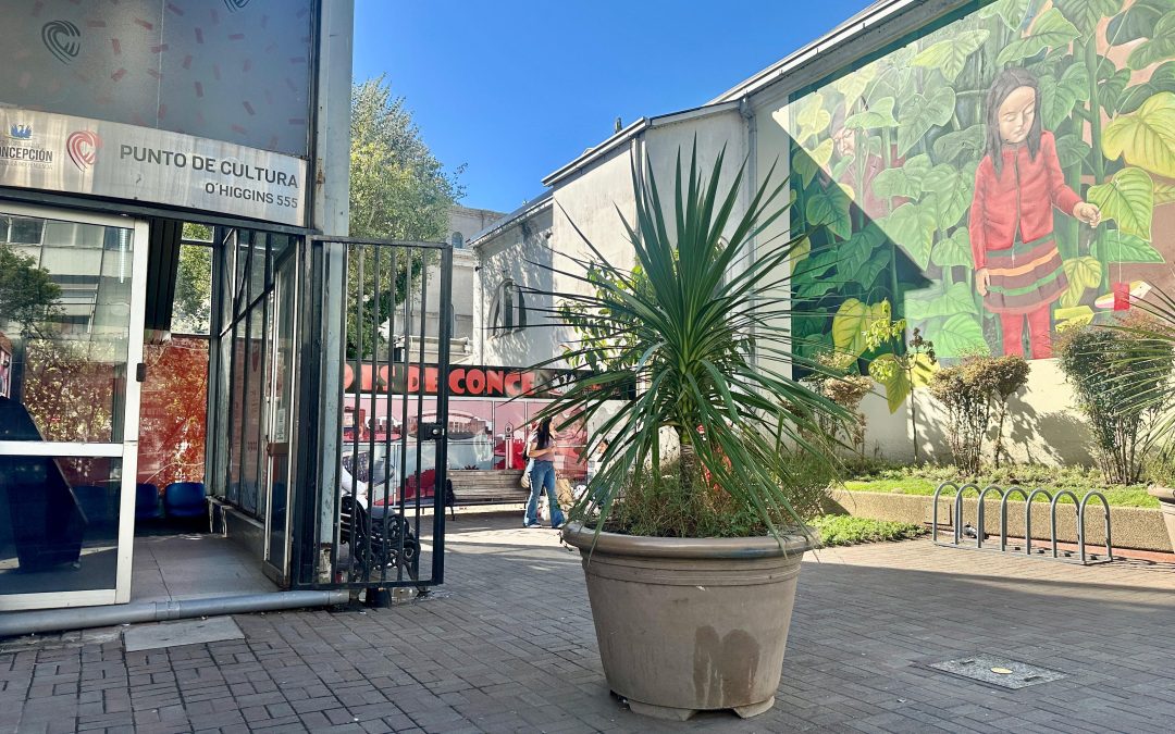 Cuatro nuevas salas se suman a la Red de Salas Asociadas del Programa Escuela al Cine 