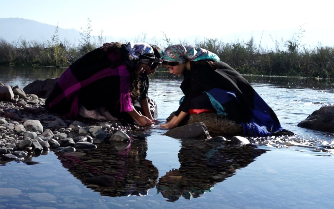 Diez cortos escolares integrarán la Muestra de Cortometrajes Escolares 2025